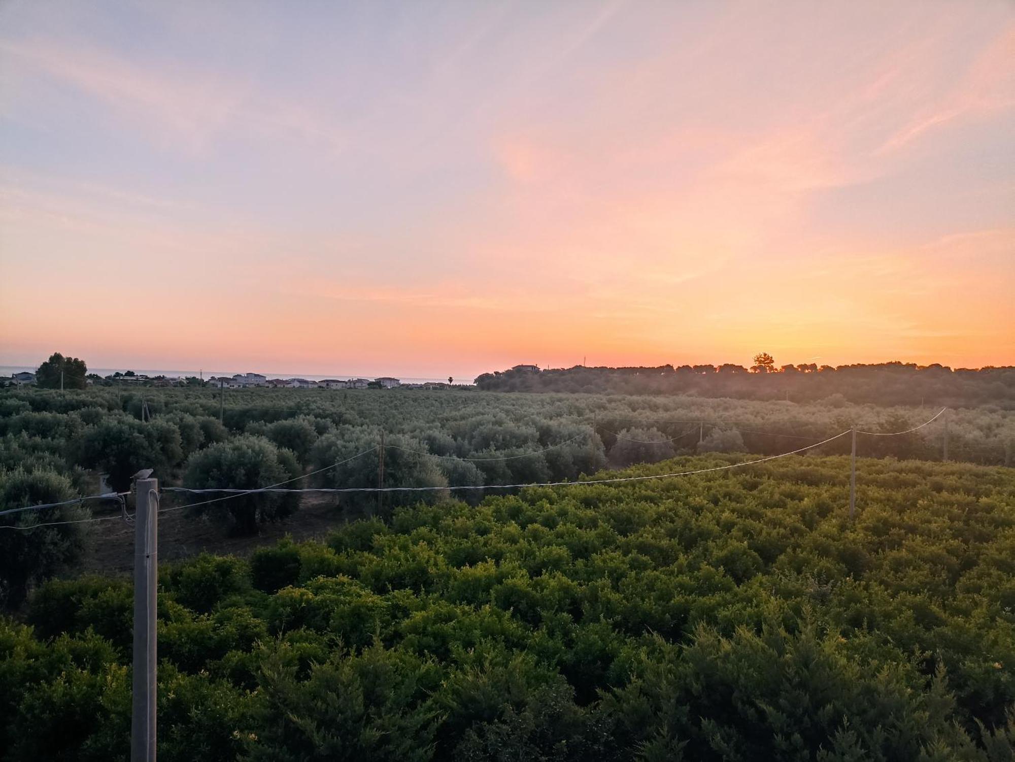 B&B Casa Gabriele Россано Экстерьер фото